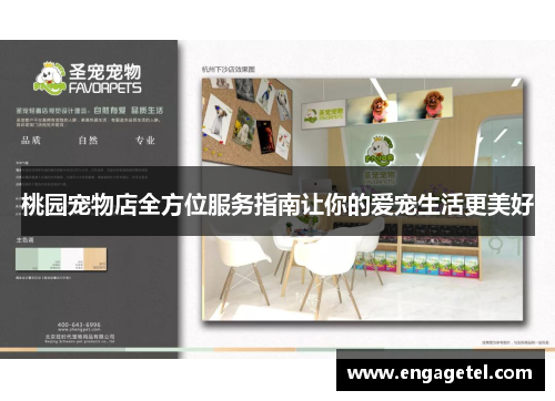 桃园宠物店全方位服务指南让你的爱宠生活更美好