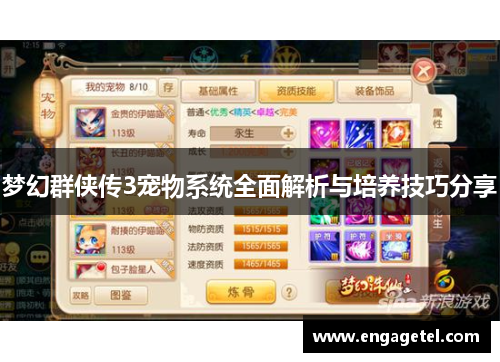 梦幻群侠传3宠物系统全面解析与培养技巧分享