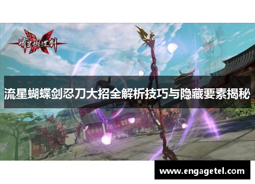 流星蝴蝶剑忍刀大招全解析技巧与隐藏要素揭秘