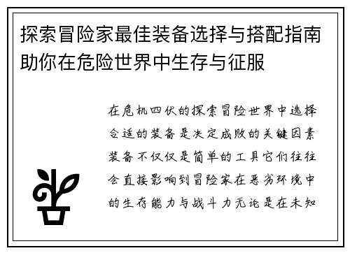 探索冒险家最佳装备选择与搭配指南助你在危险世界中生存与征服